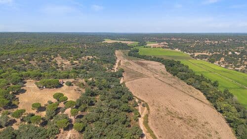 PF41106 - Herdade 176.6 ha, Montemor-o-Novo - Imagem 19