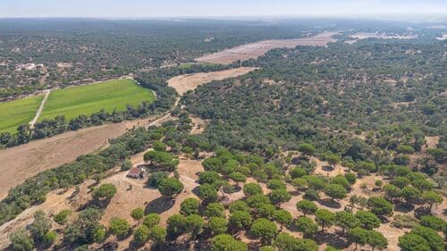 PF41106 - Herdade 176.6 ha, Montemor-o-Novo - Imagem 22
