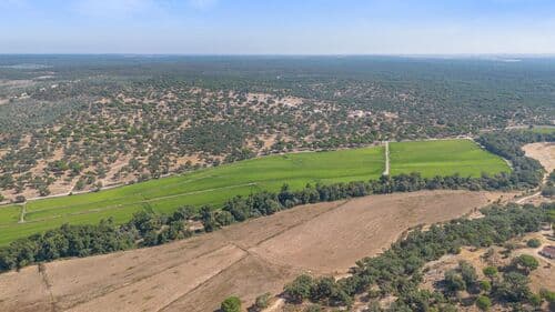 PF41106 - Herdade 176.6 ha, Montemor-o-Novo - Imagem 23