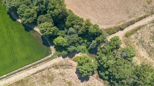 PF41106 - Herdade 176.6 ha, Montemor-o-Novo - Imagem 12