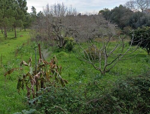 PF41122 - Terrain urbain 1275 m2 - Image 6