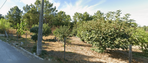 PF41122 - Terrain urbain 1275 m2 - Image 3