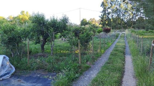 PF41122 - Terrain urbain 1275 m2 - Image 2