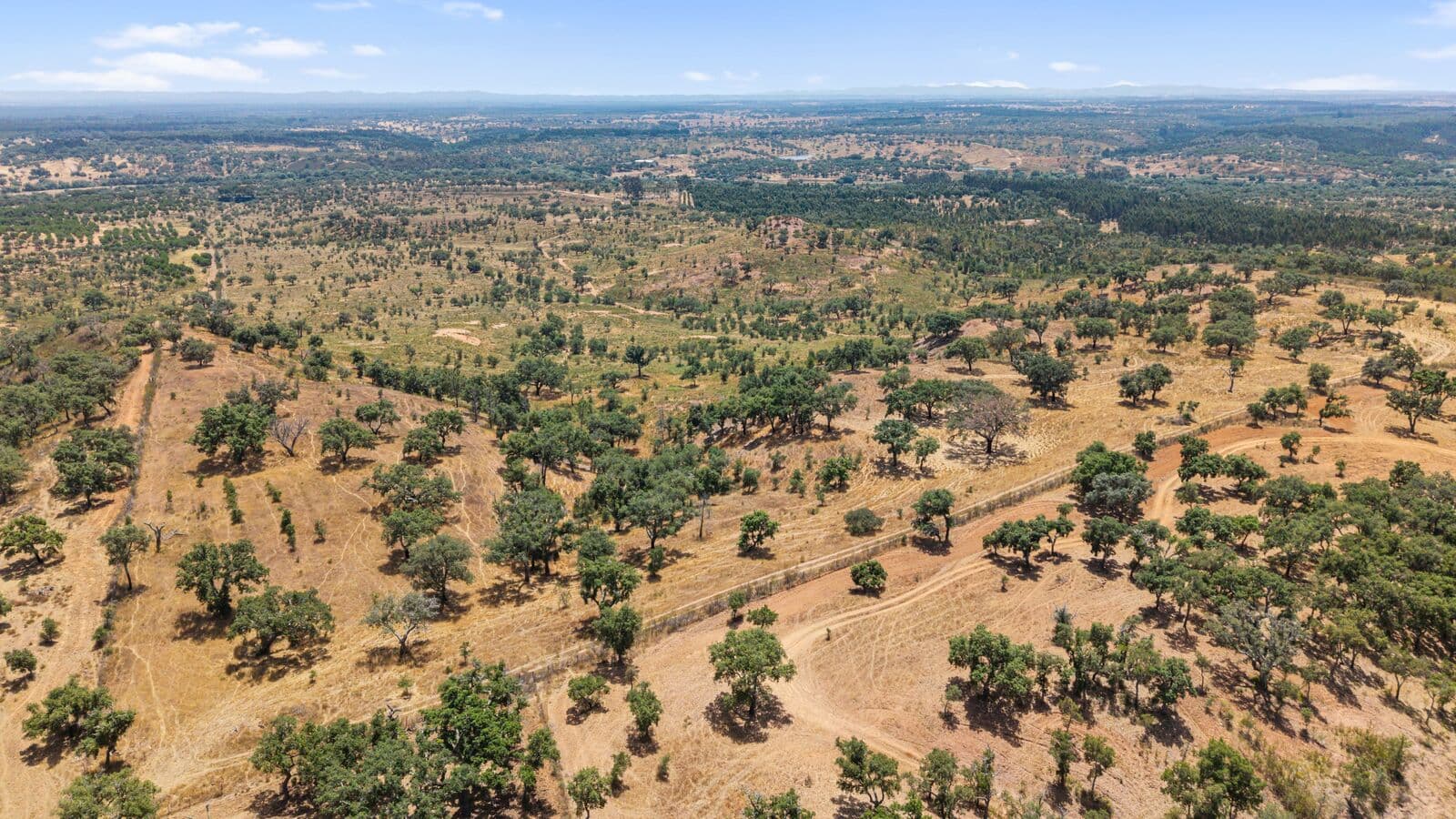 Terreno Rústico 50.0 ha, São Domingos, Santiago do Cacem - Imagem 4