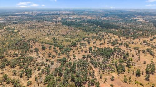PF41136 - Terrain rustique 50.0 ha, São Domingos, Santiago do Cacem - Image 14