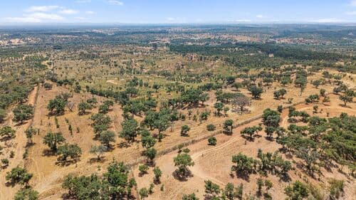PF41136 - Terrain rustique 50.0 ha, São Domingos, Santiago do Cacem - Image 4