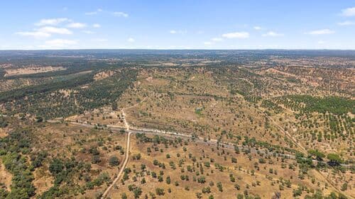 PF41136 - Terrain rustique 50.0 ha, São Domingos, Santiago do Cacem - Image 3