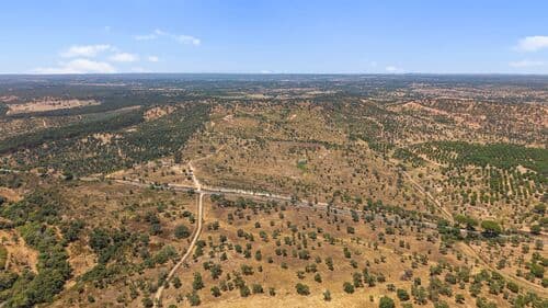 PF41136 - Terrain rustique 50.0 ha, São Domingos, Santiago do Cacem - Image 2