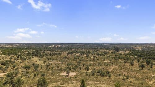 PF41136 - Terrain rustique 50.0 ha, São Domingos, Santiago do Cacem - Image 15