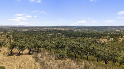PF41136 - Terrain rustique 50.0 ha, São Domingos, Santiago do Cacem - Image 8