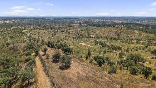PF41136 - Terrain rustique 50.0 ha, São Domingos, Santiago do Cacem - Image 10