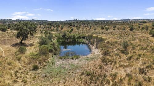 PF41136 - Terrain rustique 50.0 ha, São Domingos, Santiago do Cacem - Image 17