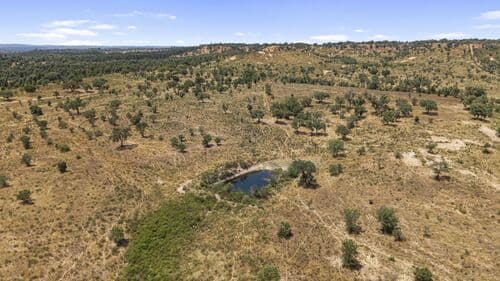 PF41136 - Terrain rustique 50.0 ha, São Domingos, Santiago do Cacem - Image 13
