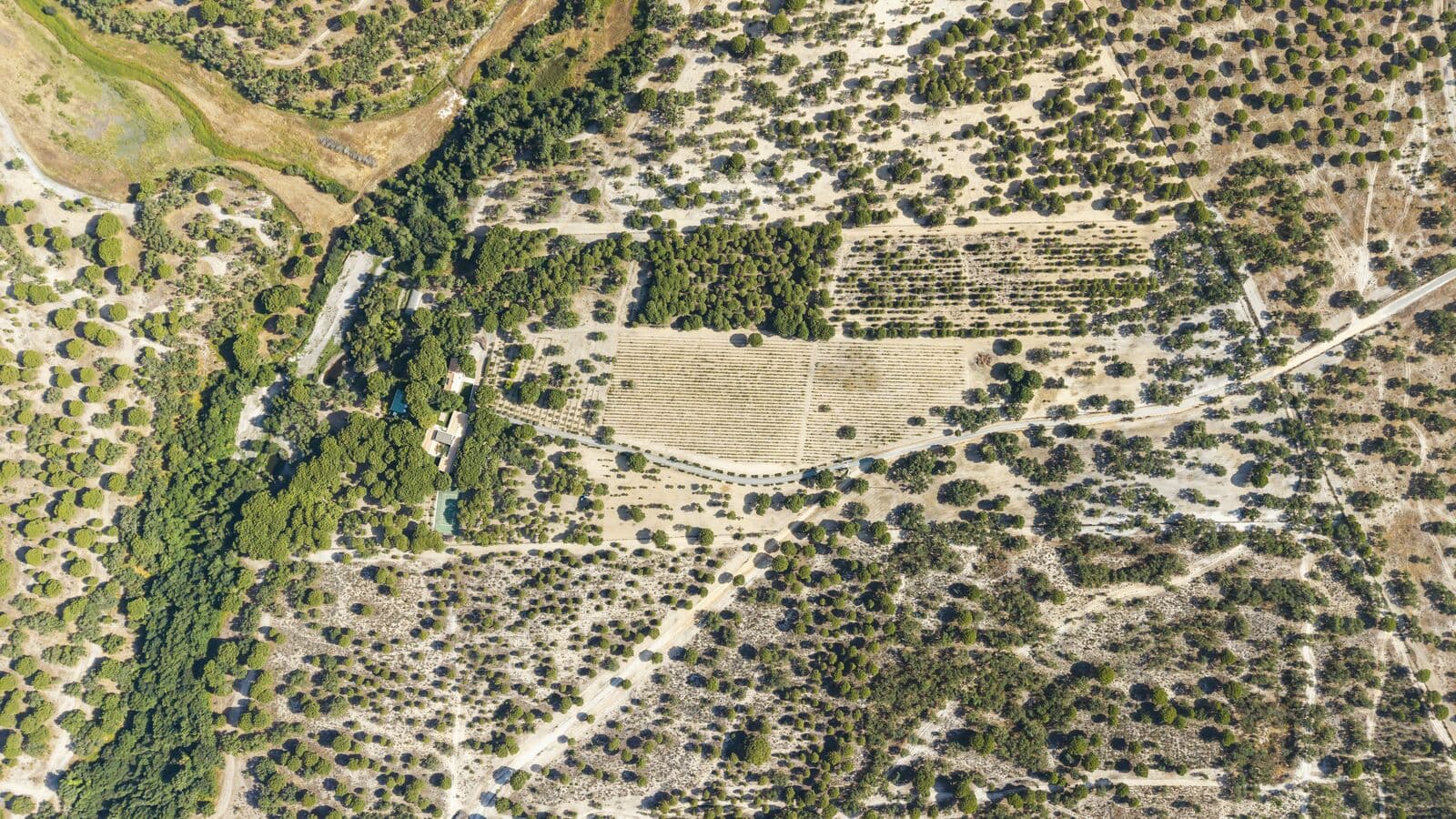 Quinta 20.4 ha, Grandola - Imagem 38