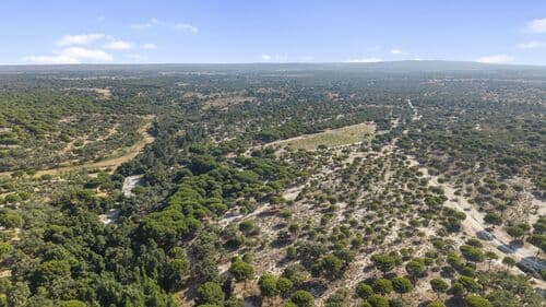 PF41137 - Homestead 20.4 ha, Grandola - Image 39