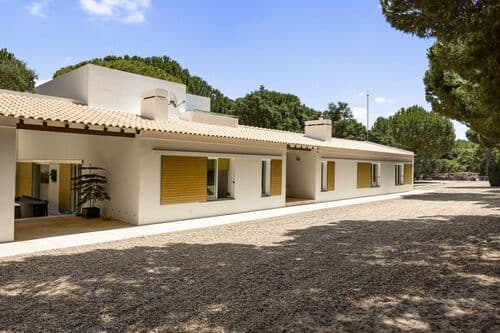 PF41137 - Homestead 20.4 ha, Grandola - Image 37