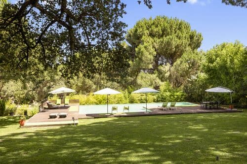 PF41137 - Homestead 20.4 ha, Grandola - Image 3
