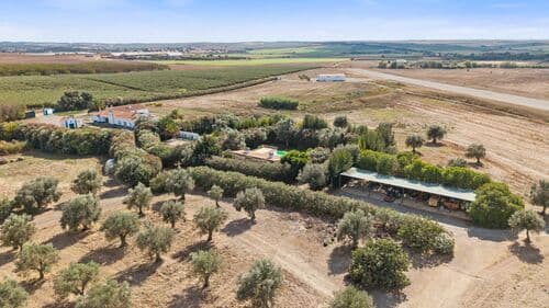 PF41138 - Farm 29.1 ha, Ferreira do Alentejo - Image 44