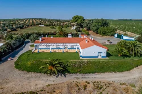 PF41138 - Quinta 29.1 ha, Ferreira do Alentejo - Imagem 3