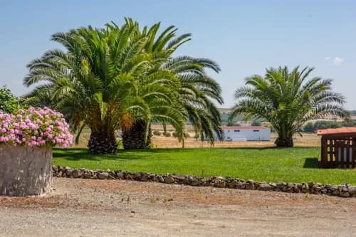 PF41138 - Quinta 29.1 ha, Ferreira do Alentejo - Imagem 26