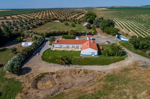 PF41138 - Quinta 29.1 ha, Ferreira do Alentejo - Imagem 35