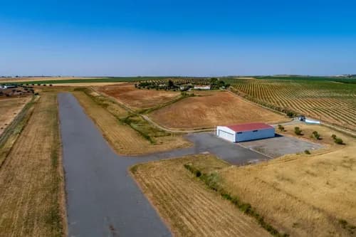 PF41138 - Quinta 29.1 ha, Ferreira do Alentejo - Imagem 32