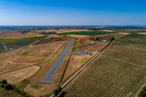 PF41138 - Quinta 29.1 ha, Ferreira do Alentejo - Imagem 33