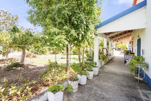 PF41143 - Moradia Isolada T4 com jardim, Melides, Grandola - Imagem 23