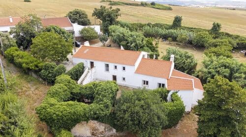 PF41238 - Moradia T5 com piscina, Dois Portos, Torres Vedras - Imagem 40
