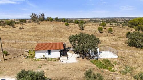 PF41335 - Quinta 17.3 ha, Pavia, Mora - Imagem 33