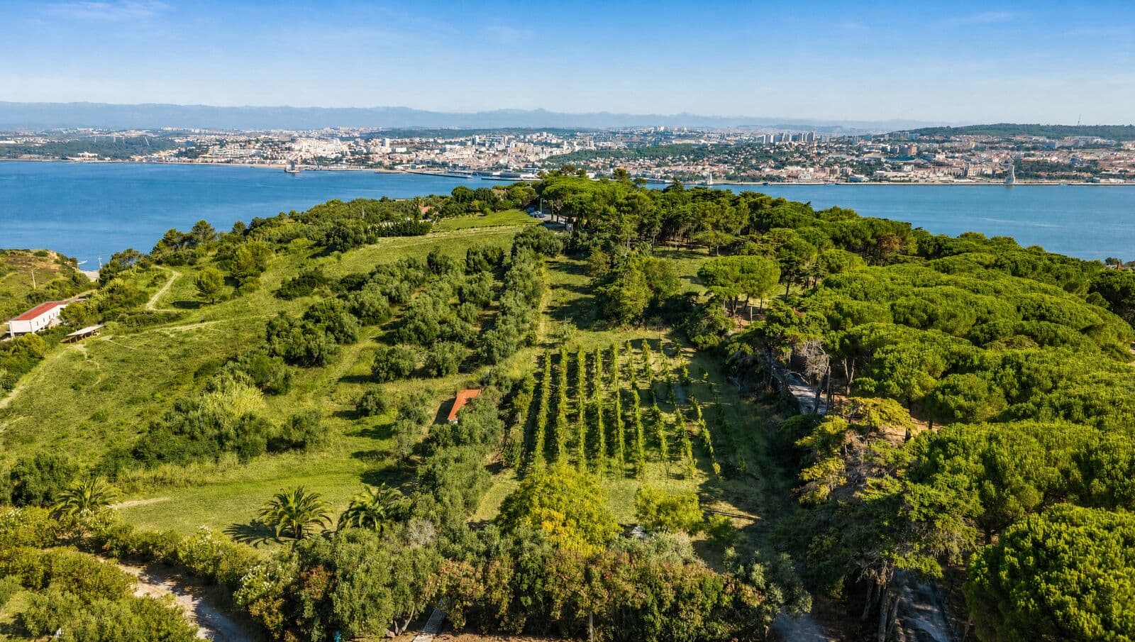 Quinta 7.9 ha, Trafaria, Almada - Imagem 15