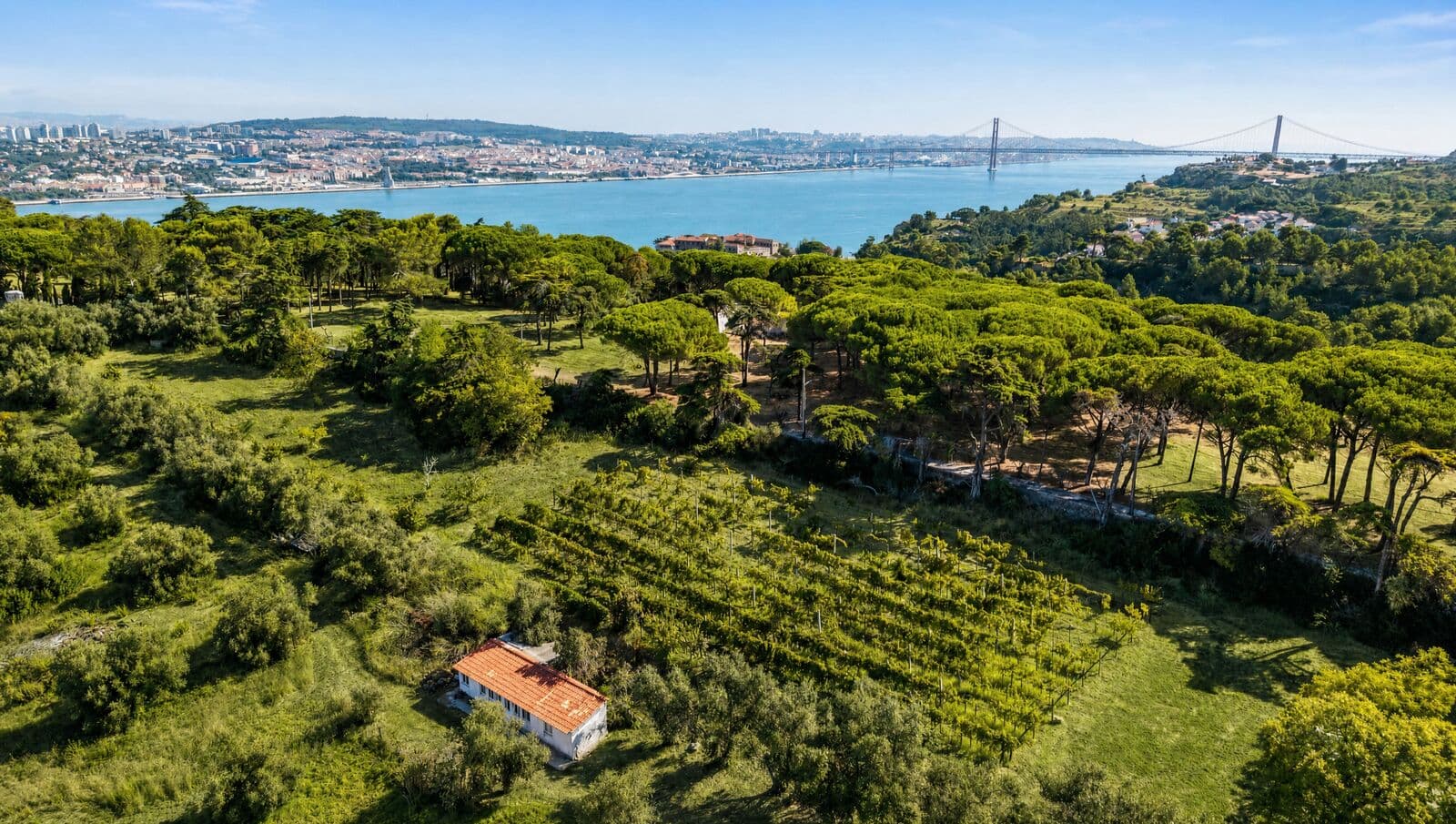 Quinta 7.9 ha, Trafaria, Almada - Imagem 17
