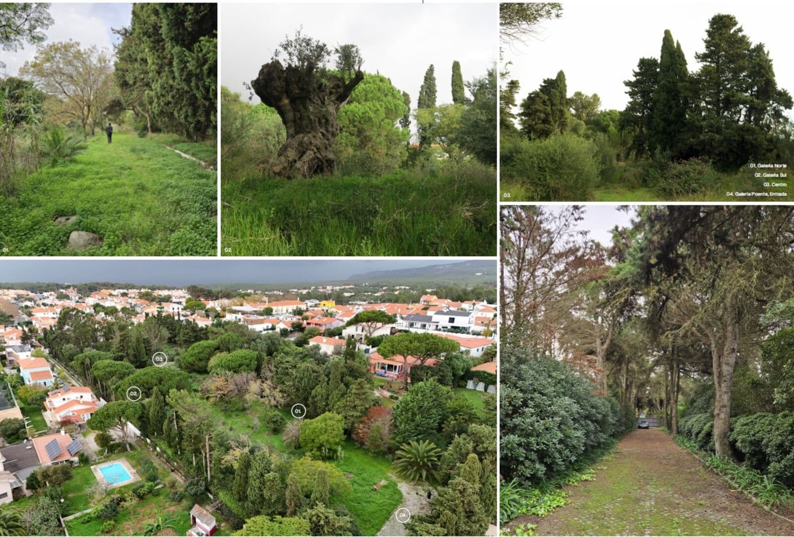 Terrain 518 m2, Aldeia de Juso, Cascais - Image 39