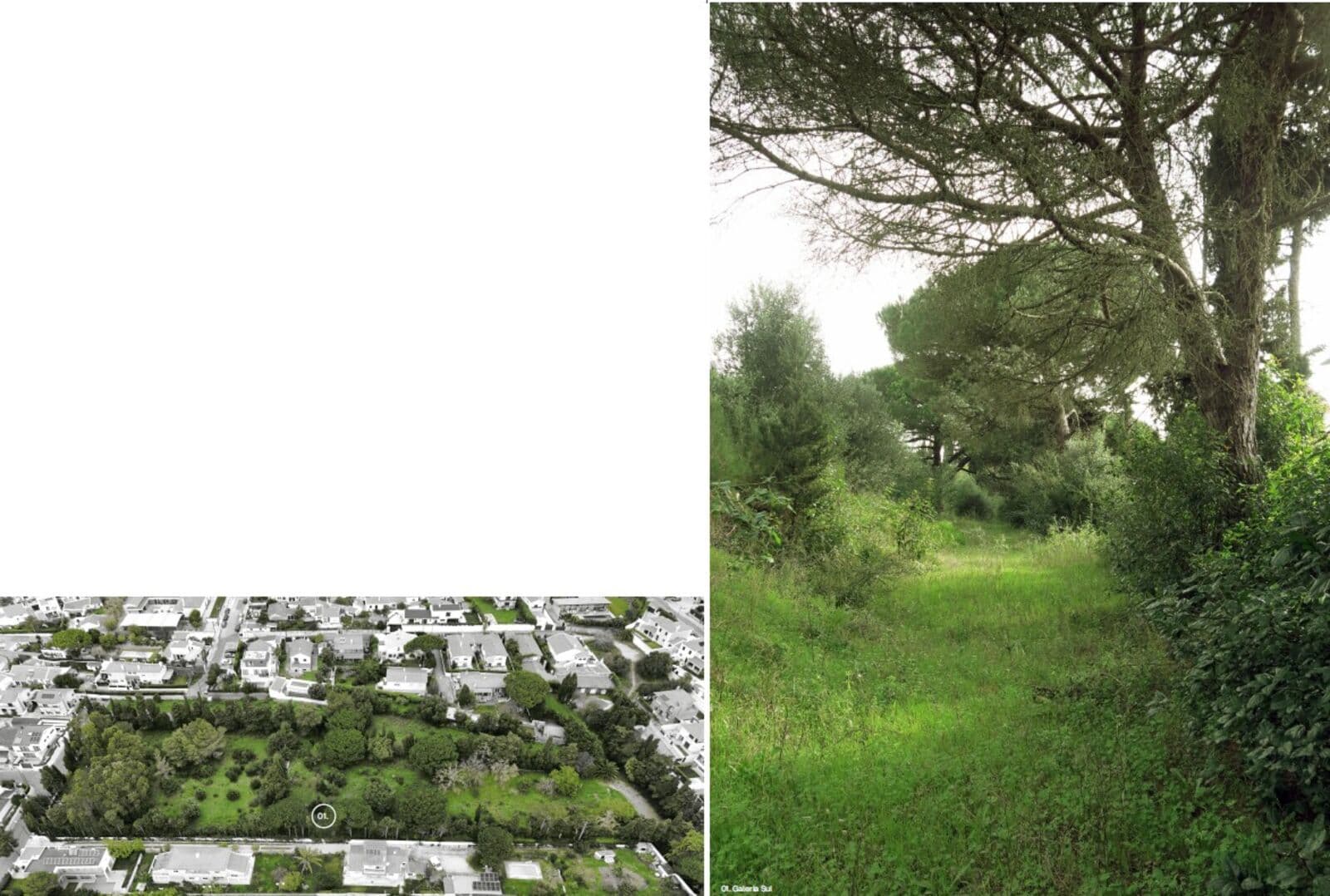 Terrain 518 m2, Aldeia de Juso, Cascais - Image 38