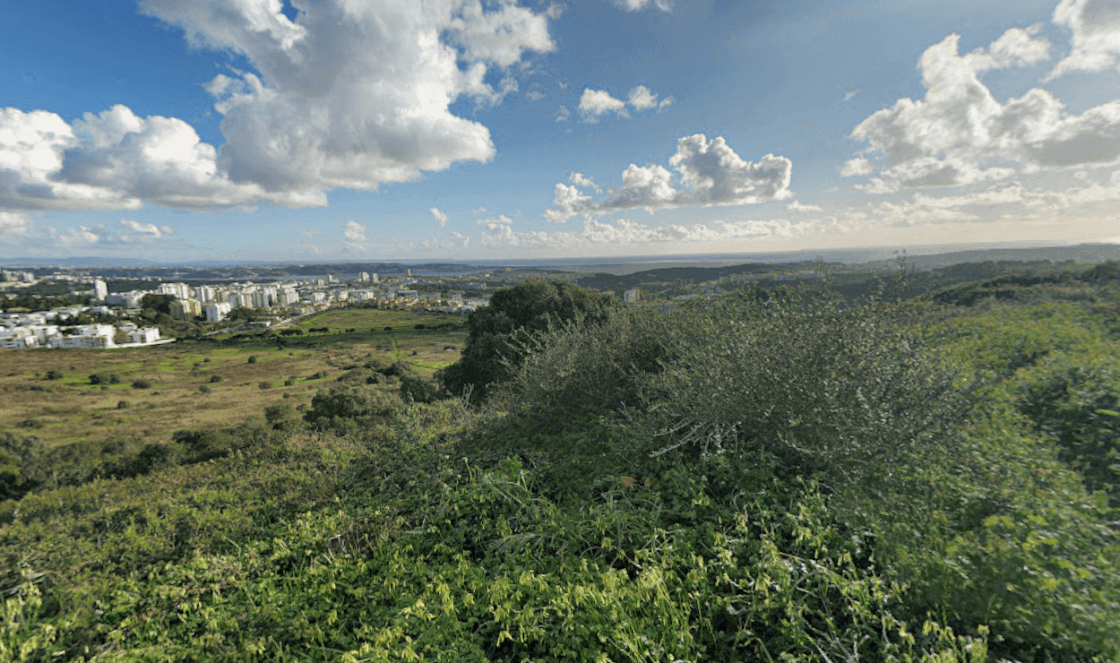 Terreno 8.3 ha, Oeiras - Imagem 2