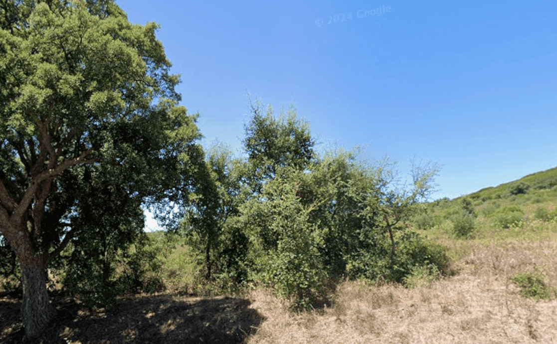 Terreno 8.3 ha, Oeiras - Imagem 6