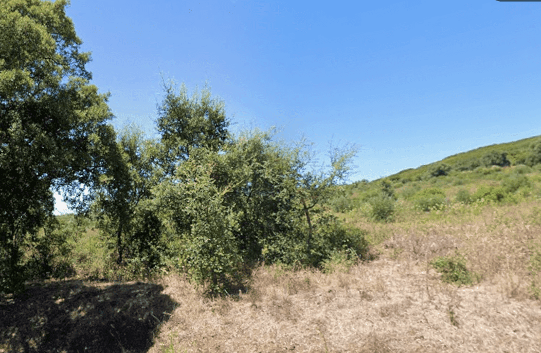 Terreno 8.3 ha, Oeiras - Imagem 7