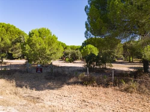 PF37980 - Terrain 2.6 ha, Santo Estevão, Benavente - Image 15