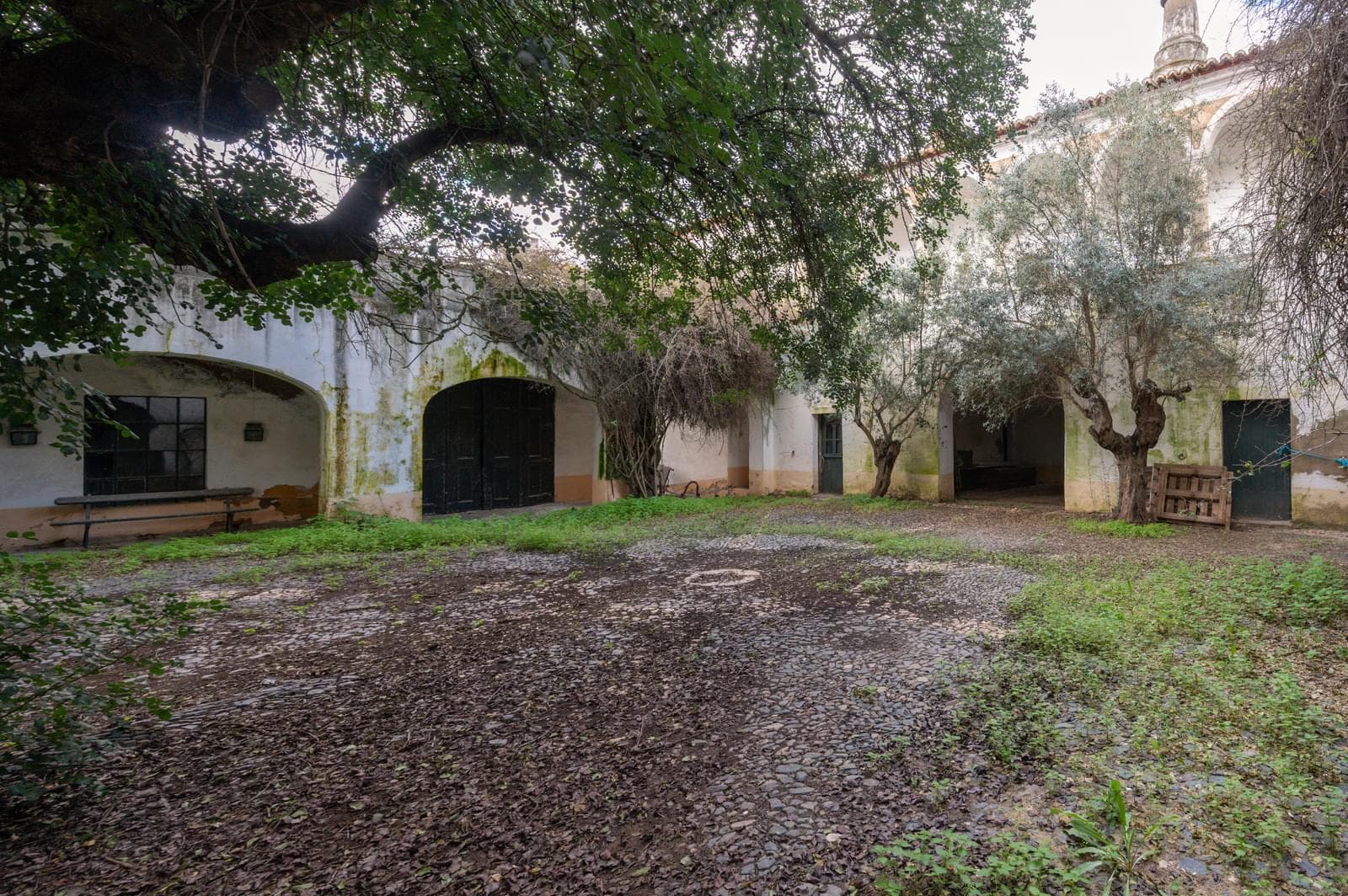 Palacete, Reguengos de Monsaraz - Imagem 30