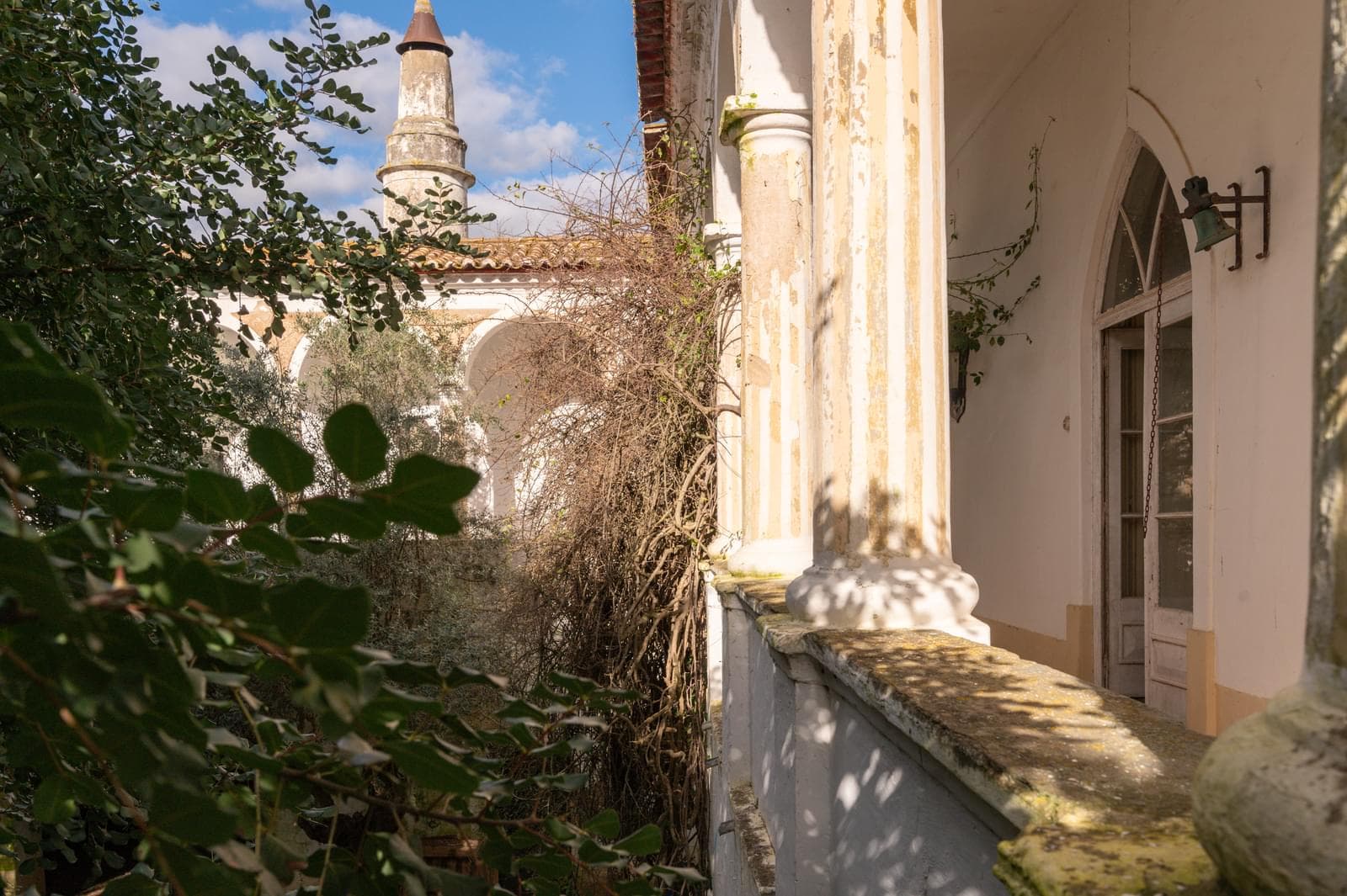 Palacete, Reguengos de Monsaraz - Imagem 28