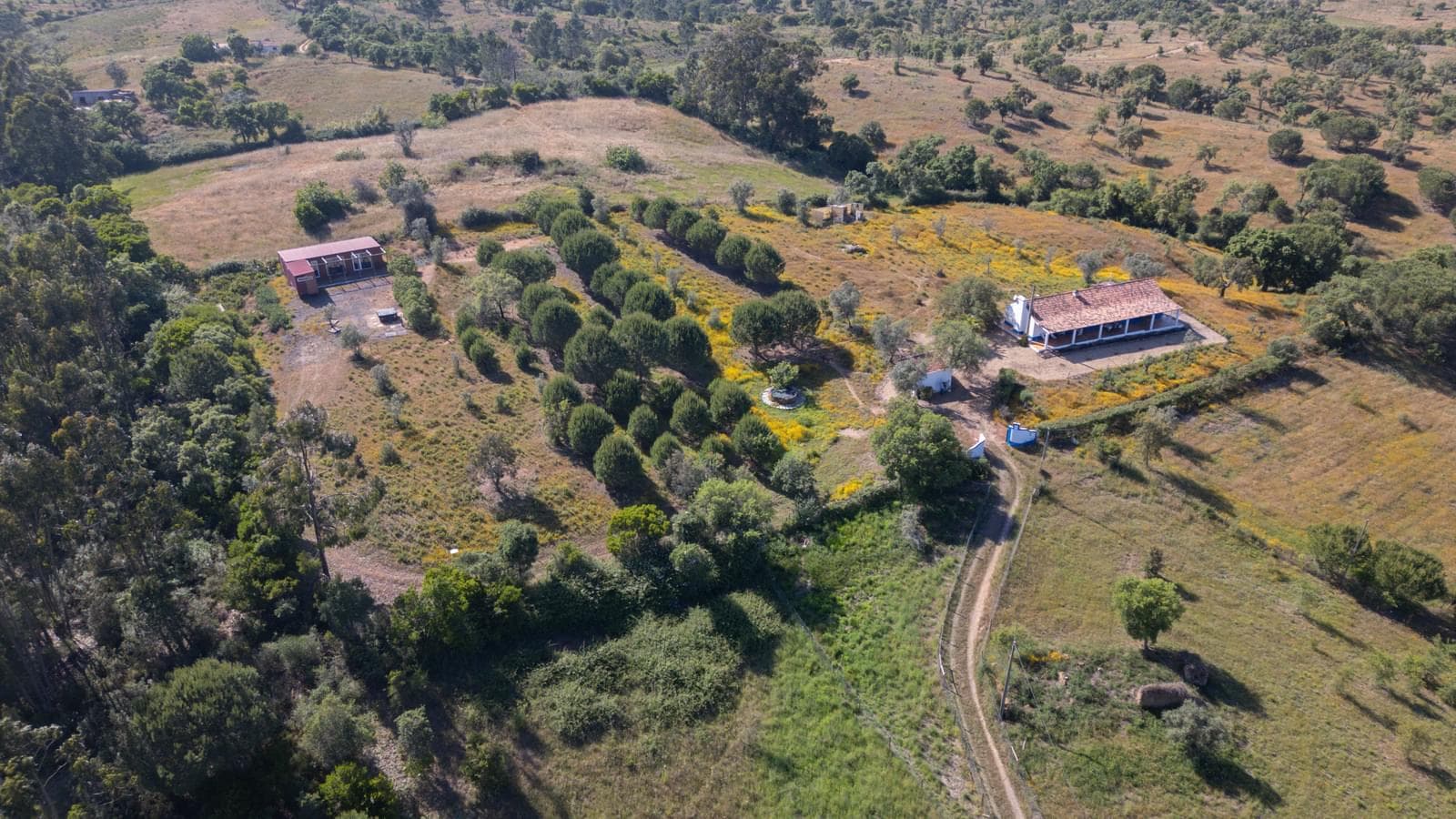 Quintinha 1.5 ha, Santiago do Cacém, Santiago do Cacem - Imagem 38