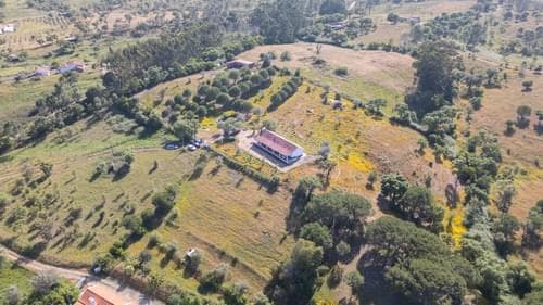PF40264 - Ferme 1.5 ha, Santiago do Cacém, Santiago do Cacem - Image 40