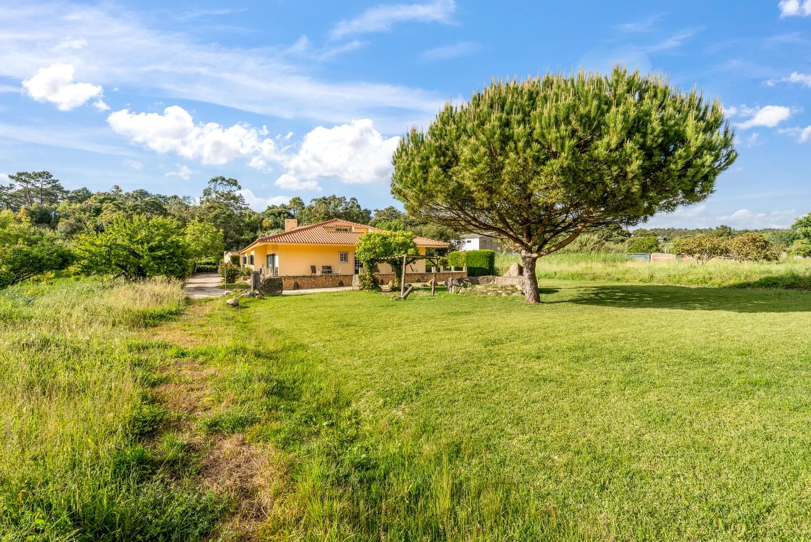 Herdade 1.4 ha, Mucifal, Sintra - Imagem 13