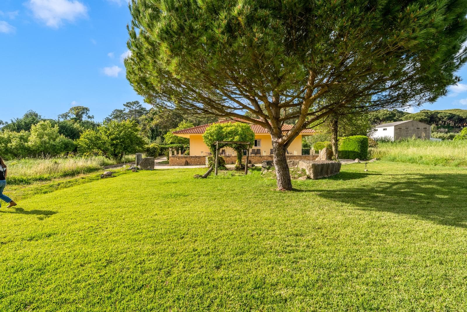 Herdade 1.4 ha, Mucifal, Sintra - Imagem 14