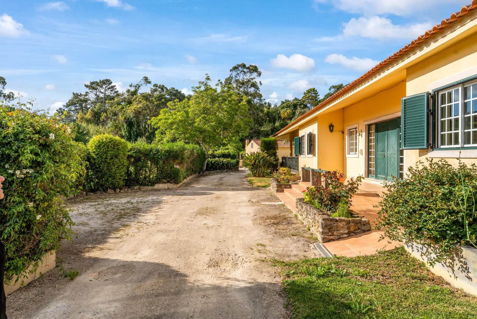 Herdade 1.4 ha, Mucifal, Sintra - Imagem 17