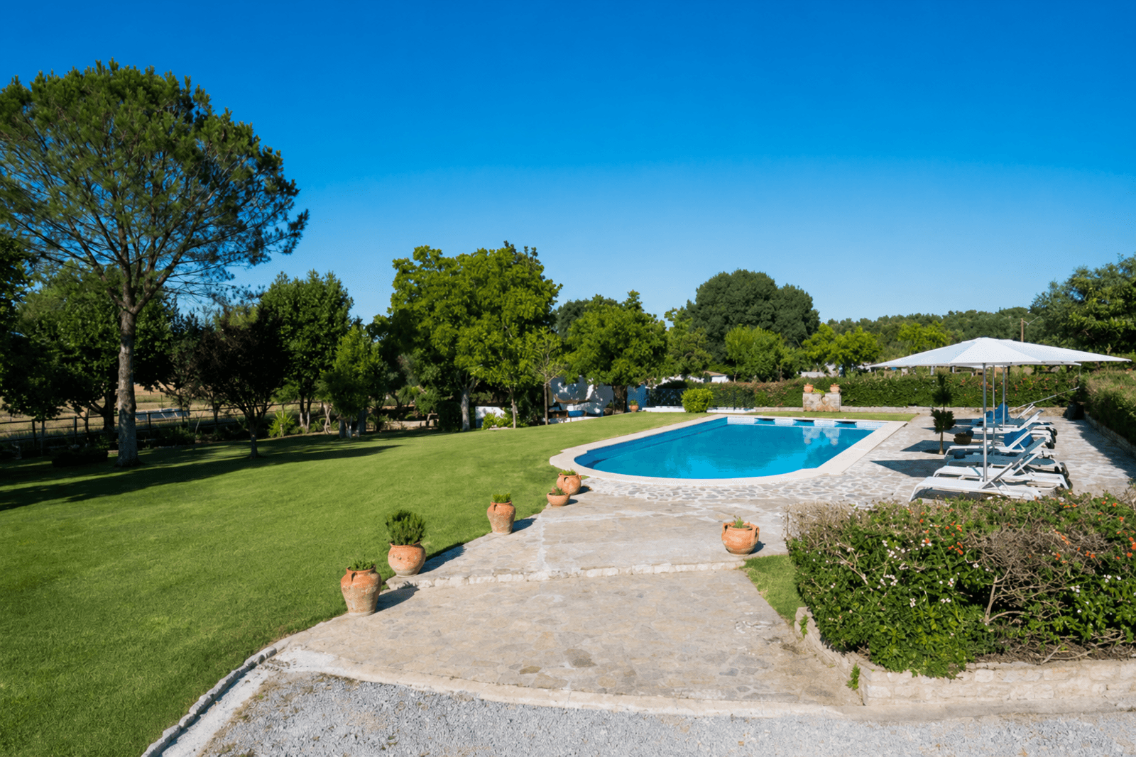 Quinta 13.9 ha, Alcáçovas, Viana do Alentejo - Imagem 62