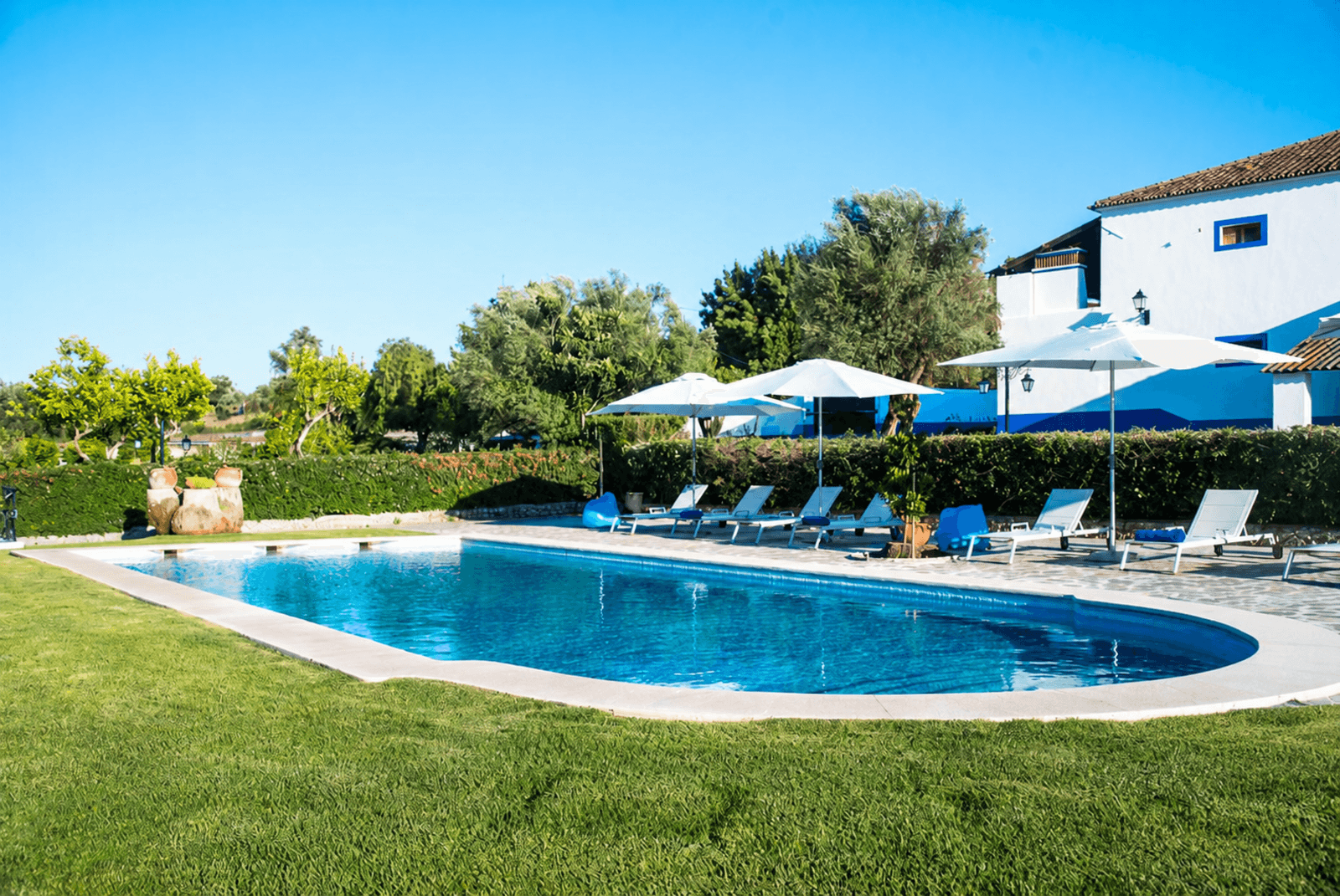 Quinta 13.9 ha, Alcáçovas, Viana do Alentejo - Imagem 60