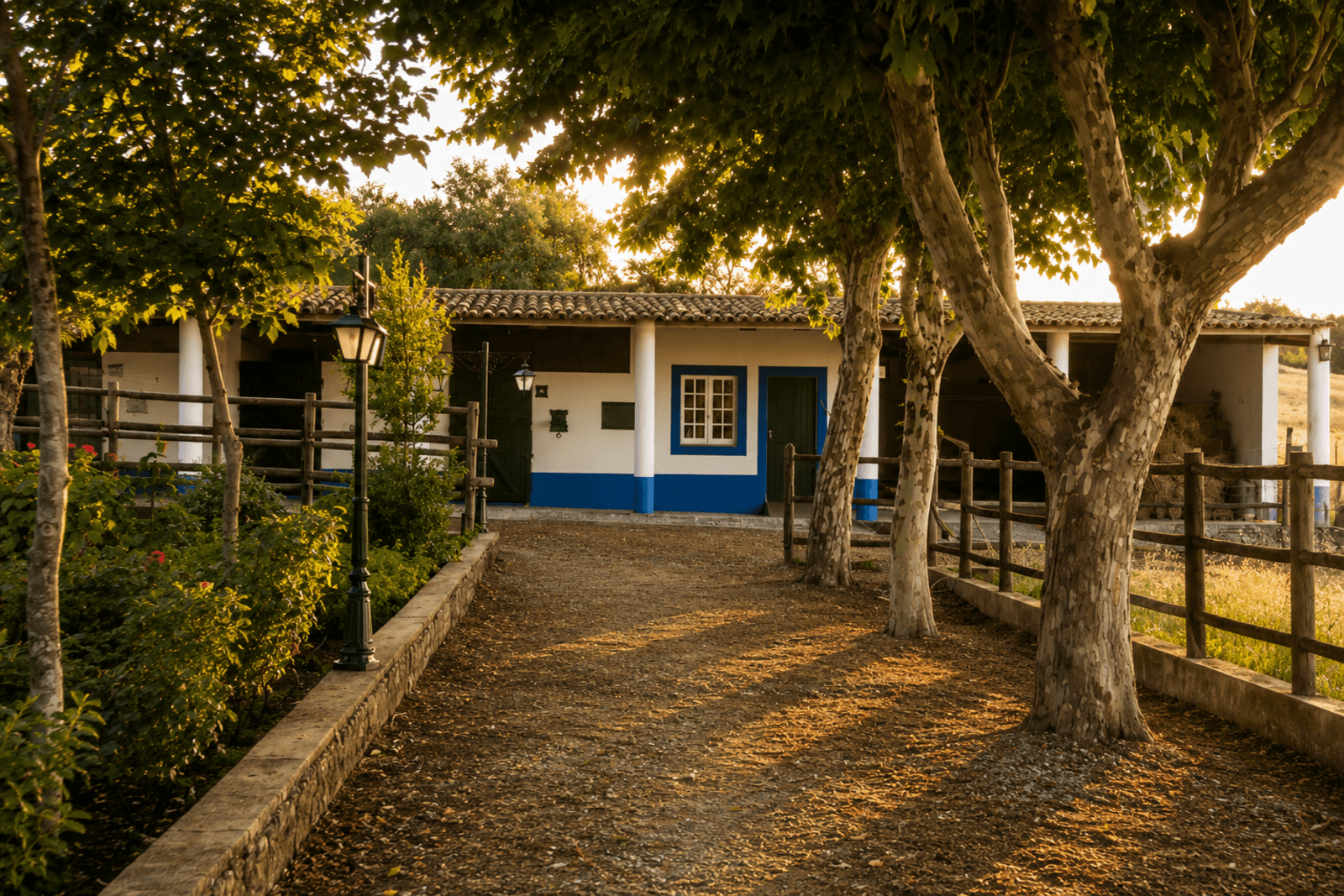 Quinta 13.9 ha, Alcáçovas, Viana do Alentejo - Imagem 67