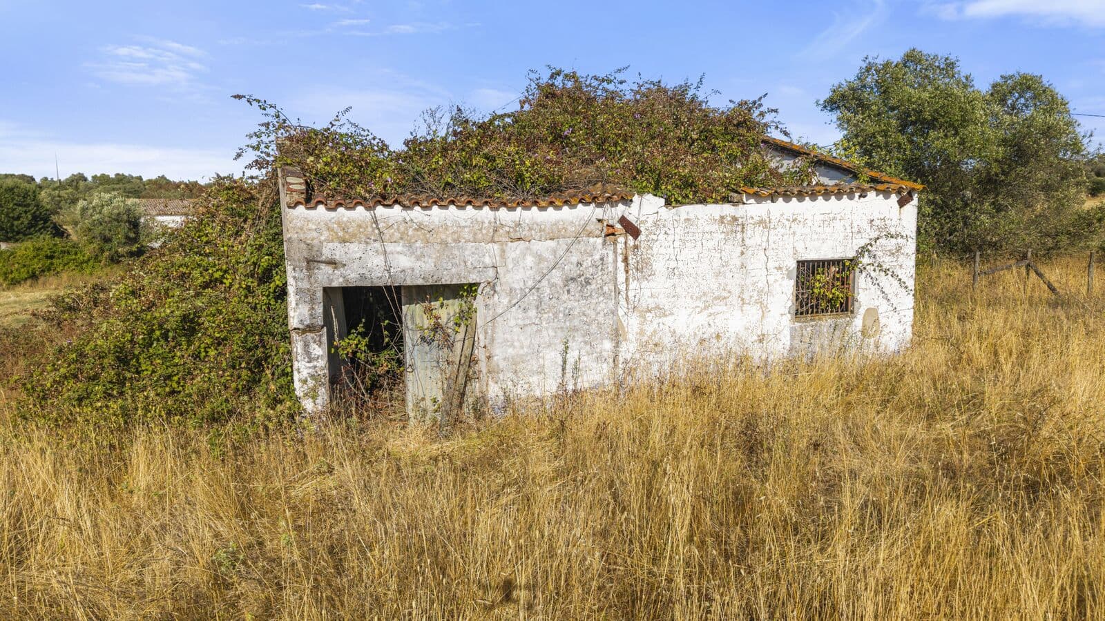 Quinta 13.9 ha, Alcáçovas, Viana do Alentejo - Imagem 74