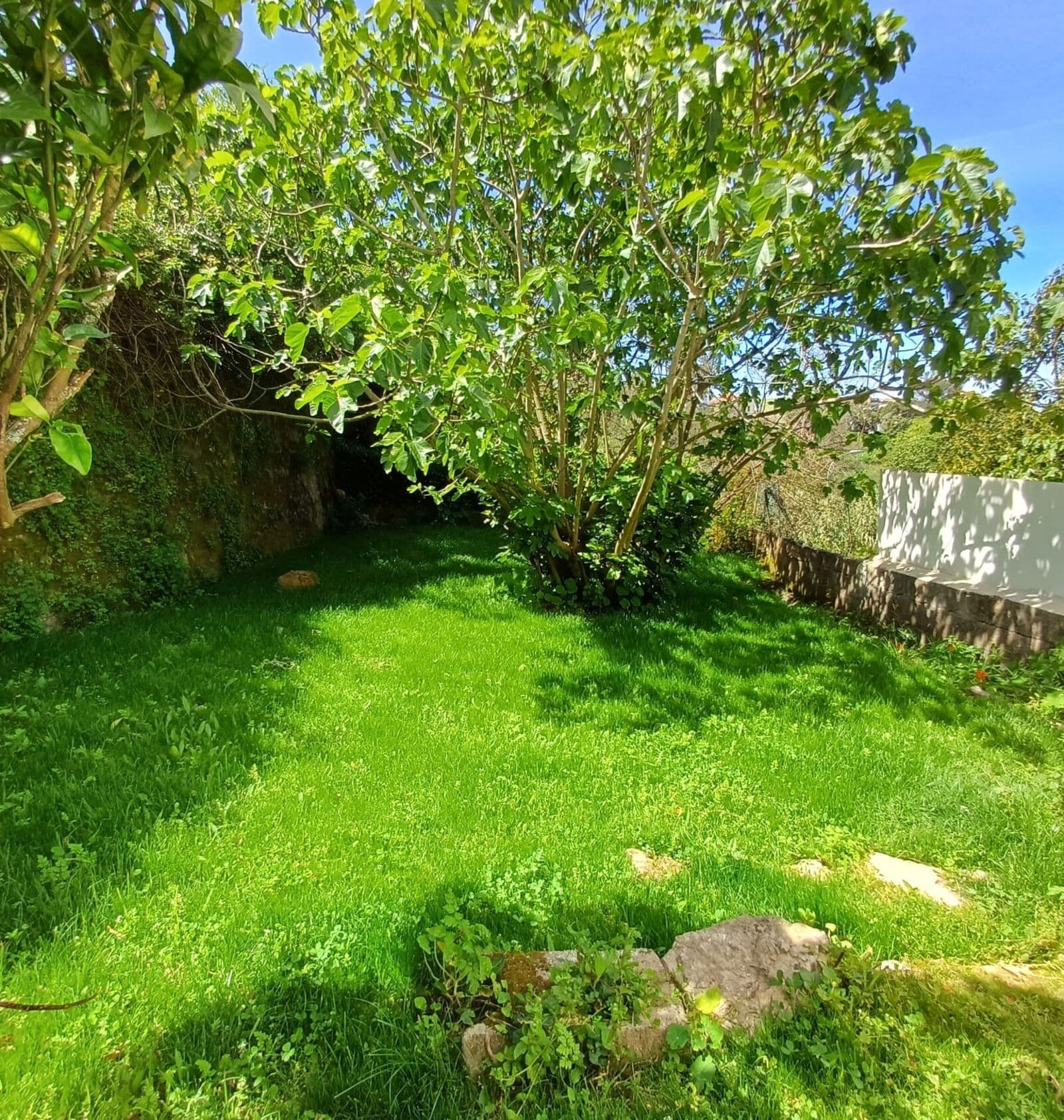Apartamento T4 com jardim, Sintra - Imagem 6